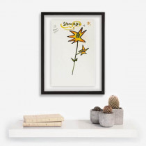 Ephéméride - Lundi