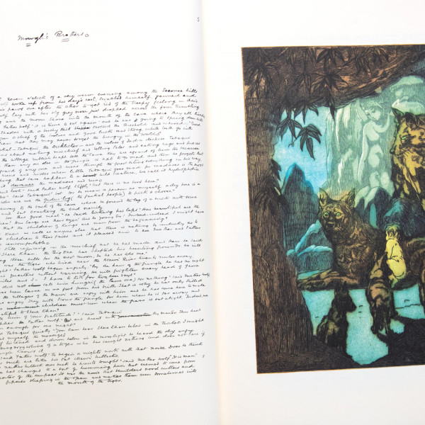 O Livro da Selva - O Menino Lobo