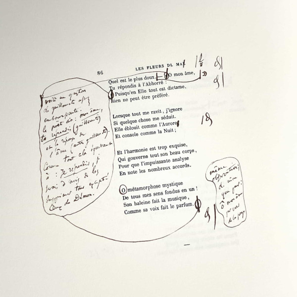 Les Fleurs du mal Les Fleurs du mal