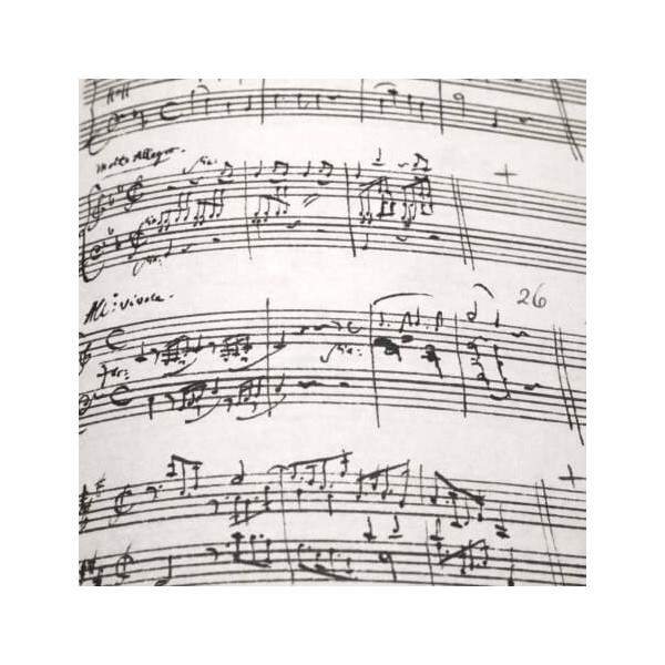 Carnet Musical de Mozart